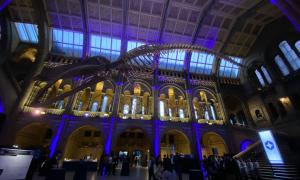 JANUS members at poster session.  Presenting and discussing posters. 